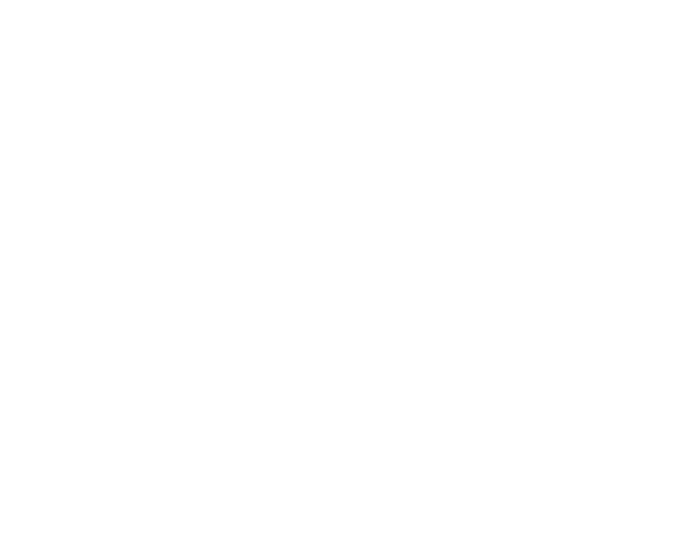 Insider View Logo - white